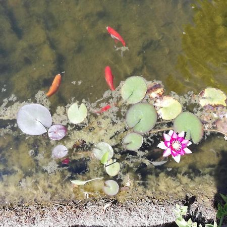 Un Avant Gout Du Nirvana Canet  Exterior photo
