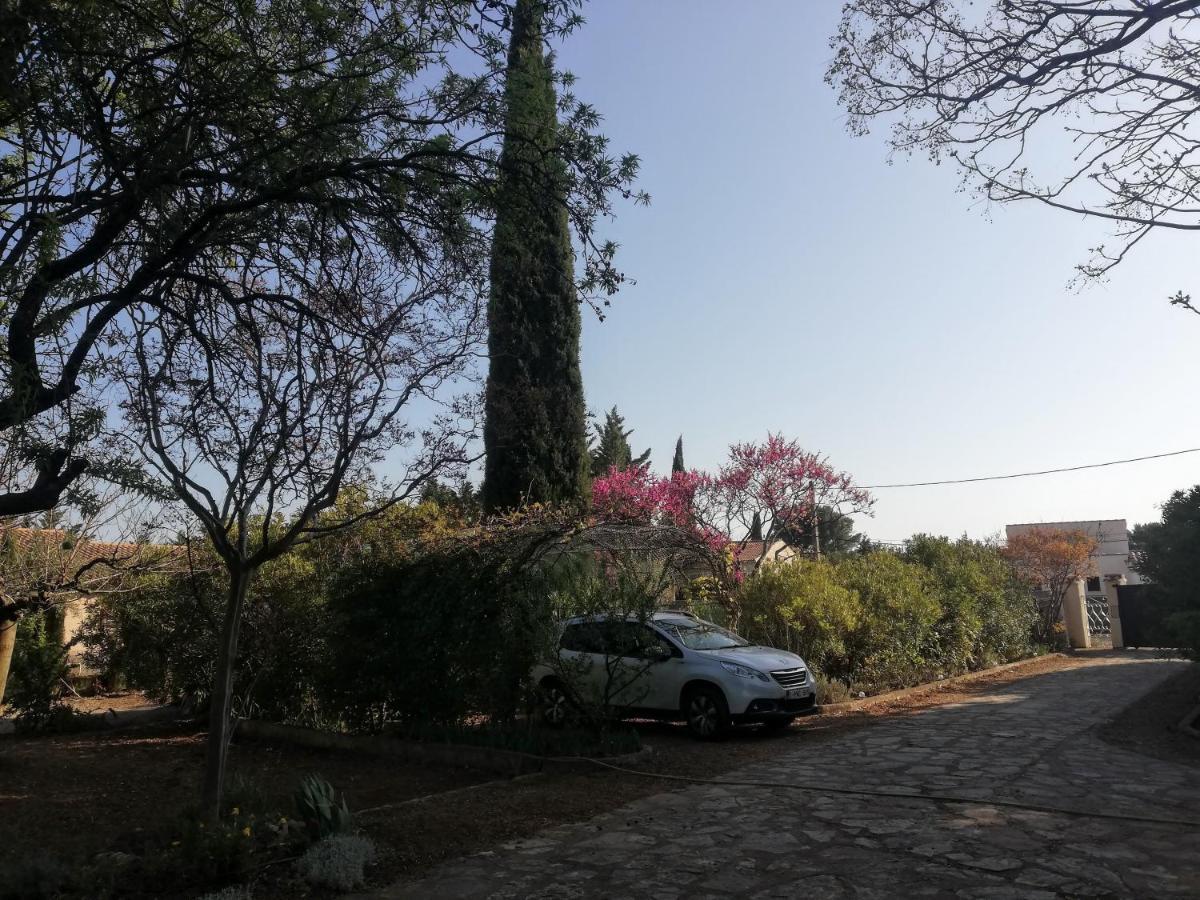 Un Avant Gout Du Nirvana Canet  Exterior photo